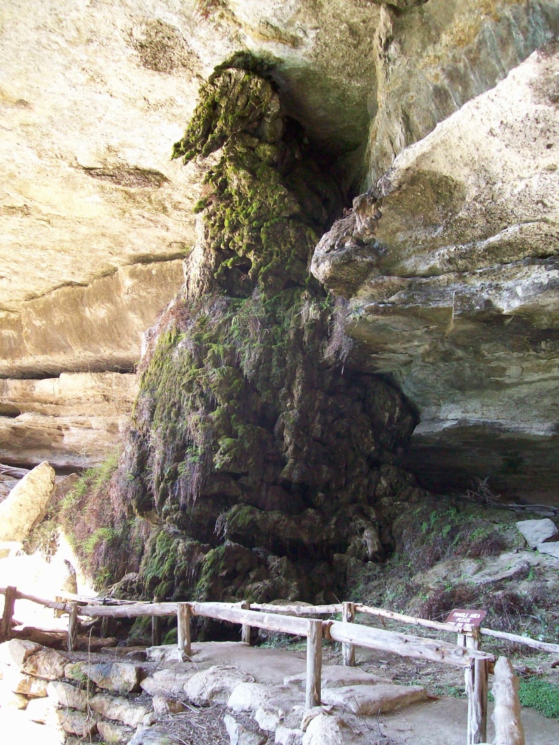 2010-03-12-Hamilton Pool-33.jpg